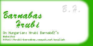 barnabas hrubi business card